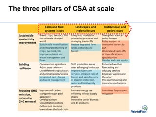 Farm and food
systems issues
Landscapes and
regional issues
Institutional and
policy issues
Sustainable
productivity
improvement
Breed crops, livestock, fish
for a climate changed
world
Sustainable intensification
and integrated farming of
crops, livestock, fish
Improve nutrient and
water management and
flows
Integrated models for
prioritizing practices and
managing trade-offs
Restore degraded farm
lands, wetlands and
forests
Strengthen science-
policy linkage
Policy support to
overcome barriers to
CSA
Understand trade-offs
of diversification vs
specialization
Gender and class equity
Building
resilience
Conservation agriculture
Adjust crop calendars
Use different crop cultivars
and animal species/strains
Integrated pest, disease
and weed management
Shift production areas
over a changing landscape
Improve ecosystem
services: enhance role of
forests and agro-forestry
in disaster protection,
water and biodiversity
provision
Enhanced weather
forecasting and
advisory services
Empower women and
the poor
Pro-poor financing and
insurance mechanisms
Reducing GHG
emission,
enhancing
GHG removal
Improve soil carbon
storage through good
agronomy
Develop carbon
sequestration options
Culture and consume
lower down the food chain
Increase energy use
efficiency in food supply
chains
Innovative use of biomass
and by-products
Incentives for pro-poor
mitigation
The three pillars of CSA at scale
 