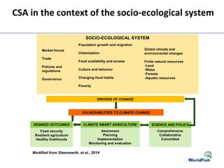 SOCIO-ECOLOGICAL SYSTEM
Global climate and
environmental changes
Finite natural resources
-Land
-Water
-Forests
-Aquatic resources
DRIVERS OF CHANGE
Population growth and migration
Urbanization
Food availability and access
Culture and behavior
Changing food habits
Poverty
Market forces
Trade
Policies and
regulations
Governance
VULNERABILITIES TO CLIMATE CHANGE
CLIMATE SMART AGRICULTURE
Awareness
Planning
Implementation
Monitoring and evaluation
SCIENCE AND POLICYDESIRED OUTCOMES
Food security
Resilient agriculture
Healthy livelihoods
Comprehensive
Collaborative
Committed
Modified from Steenwerth, et al., 2014
CSA in the context of the socio-ecological system
 