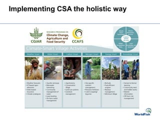 Implementing CSA the holistic way
 