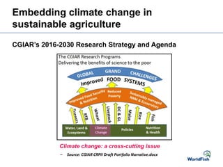 Embedding climate change in
sustainable agriculture
CGIAR’s 2016-2030 Research Strategy and Agenda
– Source: CGIAR CRPII Draft Portfolio Narrative.docx
Forests
Climate change: a cross-cutting issue
 