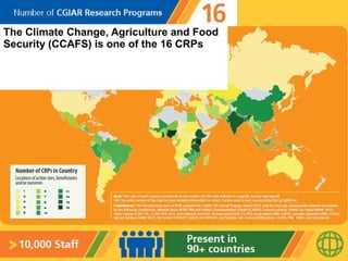 The Climate Change, Agriculture and Food
Security (CCAFS) is one of the 16 CRPs
 