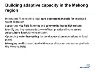 Building adaptive capacity in the Mekong
region
Integrating fisheries into local agro-ecosystem analysis for improved
water allocation
Supporting rice field fisheries and community-based fish culture
Identify and improve productivity of best practice climate smart
Aquaculture & IAA farming systems
Optimizing water harvesting for pond aquaculture operations in flood
plains
Managing conflict associated with water allocation and water quality in
the Mekong Delta
 