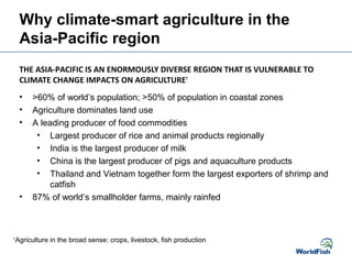 Why climate-smart agriculture in the
Asia-Pacific region
THE ASIA-PACIFIC IS AN ENORMOUSLY DIVERSE REGION THAT IS VULNERABLE TO
CLIMATE CHANGE IMPACTS ON AGRICULTURE1
1
Agriculture in the broad sense: crops, livestock, fish production
• >60% of world’s population; >50% of population in coastal zones
• Agriculture dominates land use
• A leading producer of food commodities
• Largest producer of rice and animal products regionally
• India is the largest producer of milk
• China is the largest producer of pigs and aquaculture products
• Thailand and Vietnam together form the largest exporters of shrimp and
catfish
• 87% of world’s smallholder farms, mainly rainfed
 