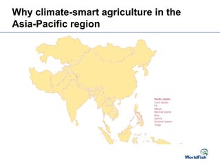 Why climate-smart agriculture in the
Asia-Pacific region
 