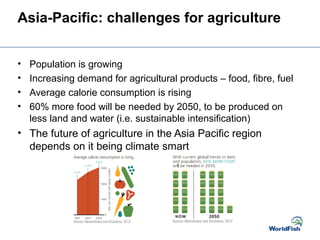 Asia-Pacific: challenges for agriculture
• Population is growing
• Increasing demand for agricultural products – food, fibre, fuel
• Average calorie consumption is rising
• 60% more food will be needed by 2050, to be produced on
less land and water (i.e. sustainable intensification)
• The future of agriculture in the Asia Pacific region
depends on it being climate smart
 