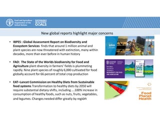 Kakoli Ghosh, Coordinator of Strategic Program on Sustainable Agriculture Management Team, Food and Agriculture Organisation (FAO) Slide 6