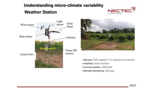 Understanding micro-climate variability
 