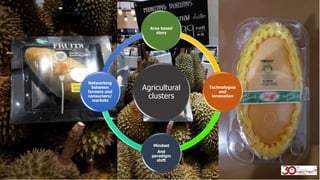 Agricultural
clusters
Area based
story
Technologies
and
innovation
Mindset
And
paradigm
shift
Networking
between
farmers and
consumers/
markets
 