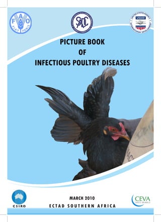 PICTURE BOOK
            OF
INFECTIOUS POULTRY DISEASES




          MARCH 2010
    ECTAD SOUTHERN AFRICA
 