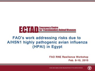 FAO’s work addressing risks due to
A/H5N1 highly pathogenic avian influenza
(HPAI) in Egypt
FAO RNE Resilience Workshop
Feb. 8-10, 2015
 