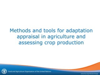 Methods and tools for adaptation
appraisal in agriculture and
assessing crop production
 