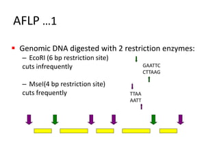 Application of Genetic Analyzer in AFLP Technique | PDF