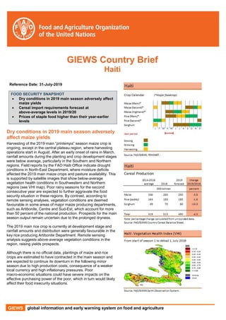 GIEWS global information and early warning system on food and agriculture
GIEWS Country Brief
Haiti
Reference Date: 31-July-2019
FOOD SECURITY SNAPSHOT
 Dry conditions in 2019 main season adversely affect
maize yields
 Cereal import requirements forecast at
above-average levels in 2019/20
 Prices of staple food higher than their year-earlier
levels
Dry conditions in 2019 main season adversely
affect maize yields
Harvesting of the 2019 main “printemps” season maize crop is
ongoing, except in the central plateau region, where harvesting
operations start in August. After an early onset of rains in March,
rainfall amounts during the planting and crop development stages
were below average, particularly in the Southern and Northern
regions. Field reports by the FAO Haiti Office indicate drought
conditions in North-East Department, where moisture deficits
affected the 2019 main maize crops and pasture availability. This
is supported by satellite images that show below-average
vegetation health conditions in Southwestern and Northern
regions (see VHI map). Poor rainy seasons for the second
consecutive year are expected to further aggravate the food
security situation in these regions. By contrast, according to
remote sensing analyses, vegetation conditions are deemed
favourable in some areas of major maize producing departments,
such as Artibonite, Centre and Sud-Est, which account for more
than 50 percent of the national production. Prospects for the main
season output remain uncertain due to the prolonged dryness.
The 2019 main rice crop is currently at development stage and
rainfall amounts and distribution were generally favourable in the
key rice producing Artibonite Department. Remote sensing
analysis suggests above-average vegetation conditions in the
region, raising yields prospects.
Although there is no official data, plantings of maize and rice
crops are estimated to have contracted in the main season and
are expected to continue its downturn in the following minor
season due to high production costs, consequence of a weaker
local currency and high inflationary pressures. Poor
macro-economic situations could have severe impacts on the
effective purchasing power of the poor, which in turn would likely
affect their food insecurity situations.
 