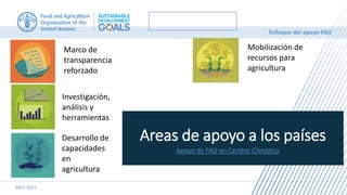 Abril 2021
Enfoque del apoyo FAO
Areas de apoyo a los países
Apoyo de FAO en Cambio Climático
Marco de
transparencia
reforzado
Investigación,
análisis y
herramientas
Desarrollo de
capacidades
en
agricultura
Mobilización de
recursos para
agricultura
 