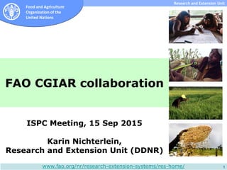 Subdirección de Investigación y Extensión
Food and Agriculture
Organization of the
United Nations
Research and Extension Unit
1
FAO CGIAR collaboration
ISPC Meeting, 15 Sep 2015
Karin Nichterlein,
Research and Extension Unit (DDNR)
www.fao.org/nr/research-extension-systems/res-home/
 