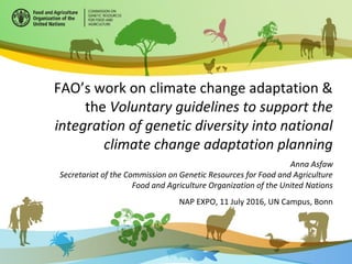 FAO’s work on climate change adaptation &
the Voluntary guidelines to support the
integration of genetic diversity into national
climate change adaptation planning
Anna Asfaw
Secretariat of the Commission on Genetic Resources for Food and Agriculture
Food and Agriculture Organization of the United Nations
NAP EXPO, 11 July 2016, UN Campus, Bonn
 