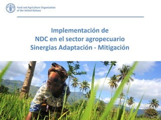 Implementación de
NDC en el sector agropecuario
Sinergias Adaptación - Mitigación
 