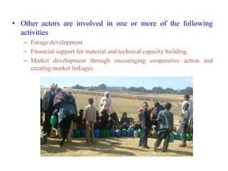 Improving marketing of milk and milk products / improving milk quality, marketing system, linking cooperatives with consumers, and providing support to milk marketing cooperativesFAO is also engaged in short term fact finding and need assessment studies in the dairy value chain