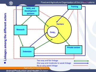 Improving smallholder marketed supply and market access for dairy products in the Arsi zone and its surrounding areas. Focus: