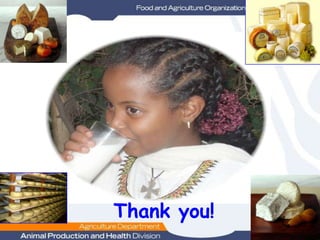 Dairy Value Chain Development In Ethiopia: The Experience of FAO