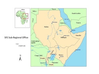 Dairy Value Chain Development In Ethiopia: The Experience of FAO