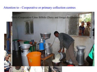 Dairy Value Chain Development In Ethiopia: The Experience of FAO