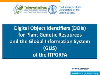 www.fao.org/plant-treaty
Marco Marsella
Digital Object Identifiers (DOIs)
for Plant Genetic Resources
and the Global Information System
(GLIS)
of the ITPGRFA
 