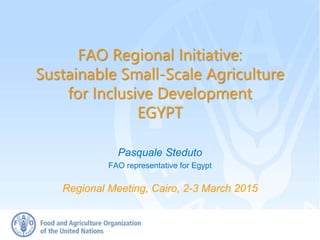 FAO Regional Initiative:
Sustainable Small-Scale Agriculture
for Inclusive Development
EGYPT
Pasquale Steduto
FAO representative for Egypt
Regional Meeting, Cairo, 2-3 March 2015
 