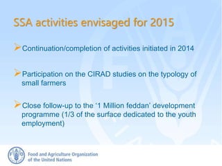 SSA activities envisaged for 2015
Participation on the CIRAD studies on the typology of
small farmers
Continuation/completion of activities initiated in 2014
Close follow-up to the ‘1 Million feddan’ development
programme (1/3 of the surface dedicated to the youth
employment)
 