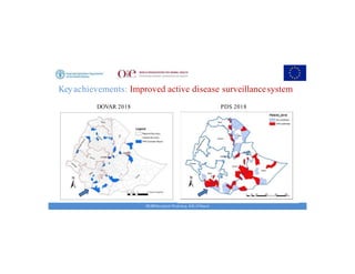 Key achievements and strategic impacts