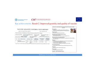 Key achievements and strategic impacts