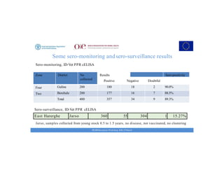 Key achievements and strategic impacts