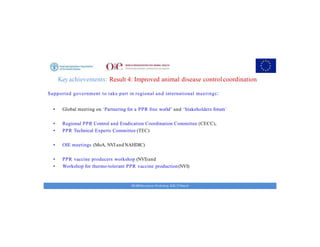 Key achievements and strategic impacts