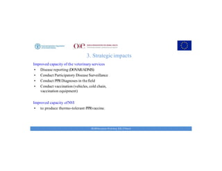 Key achievements and strategic impacts