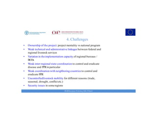 Key achievements and strategic impacts