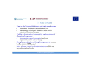 Key achievements and strategic impacts