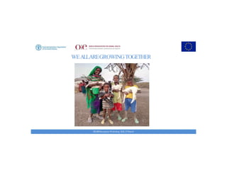 Key achievements and strategic impacts