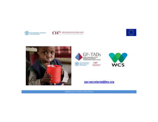 Key achievements and strategic impacts