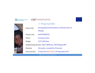 Key achievements and strategic impacts