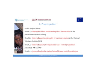 Key achievements and strategic impacts