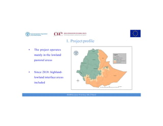 Key achievements and strategic impacts