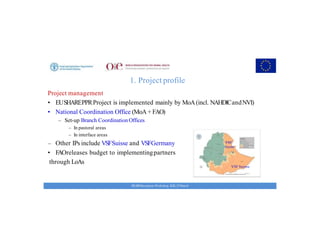 Key achievements and strategic impacts