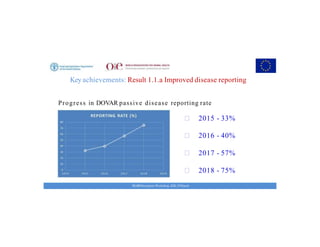 Key achievements and strategic impacts