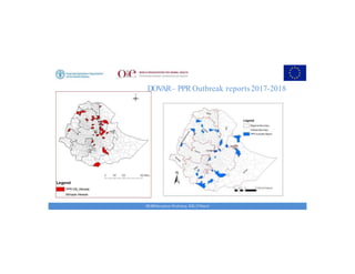 Key achievements and strategic impacts