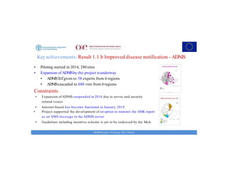 Key achievements and strategic impacts