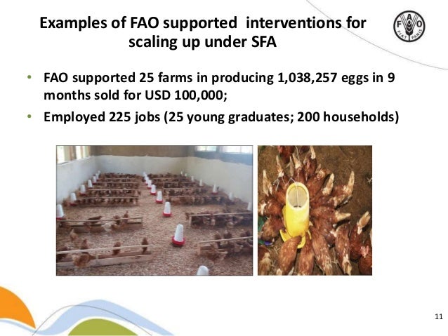 Examples Of Jobs In Agriculture Food And Natural Resources Examples Of Jobs In Agriculture Food And Natural Resources