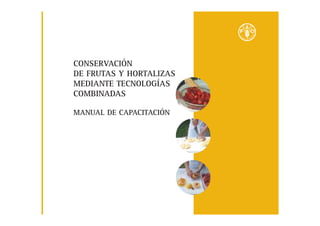CONSERVACIÓN
DE FRUTAS Y HORTALIZAS
MEDIANTE TECNOLOGÍAS
COMBINADAS
MANUAL DE CAPACITACIÓN
 