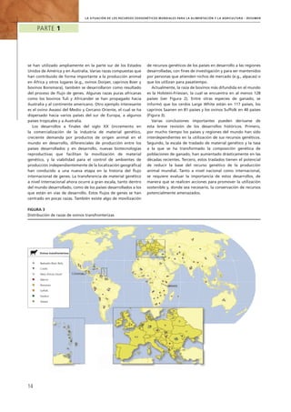 la Situación de loS recurSoS ZoogenéticoS MundialeS Para la aliMentación y la agricultura – ReSuMen
Parte 1
14
se han utilizado ampliamente en la parte sur de los Estados
Unidos de América y en Australia. Varias razas compuestas que
han contribuido de forma importante a la producción animal
en África y otros lugares (e.g., ovinos Dorper, caprinos Boer y
bovinos Bonsmara), también se desarrollaron como resultado
del proceso de flujo de genes. Algunas razas puras africanas
como los bovinos Tuli y Africander se han propagado hacia
Australia y al continente americano. Otro ejemplo interesante
es el ovino Awassi del Medio y Cercano Oriente, el cual se ha
dispersado hacia varios países del sur de Europa, a algunos
países tropicales y a Australia.
Los desarrollos a finales del siglo XX (incremento en
la comercialización de la industria de material genético,
creciente demanda por productos de origen animal en el
mundo en desarrollo, diferenciales de producción entre los
países desarrollados y en desarrollo, nuevas biotecnologías
reproductivas que facilitan la movilización de material
genético, y la viabilidad para el control de ambientes de
producción independientemente de la localización geográfica)
han conducido a una nueva etapa en la historia del flujo
internacional de genes. La transferencia de material genético
a nivel internacional ahora ocurre a gran escala, tanto dentro
del mundo desarrollado, como de los países desarrollados a los
que están en vías de desarrollo. Estos flujos de genes se han
centrado en pocas razas. También existe algo de movilización
de recursos genéticos de los países en desarrollo a las regiones
desarrolladas, con fines de investigación y para ser mantenidos
por personas que atienden nichos de mercado (e.g., alpacas) o
que los utilizan para pasatiempo.
Actualmente, la raza de bovinos más difundida en el mundo
es la Holstein-Friesian, la cual se encuentra en al menos 128
países (ver Figura 2). Entre otras especies de ganado, se
informó que los cerdos Large White están en 117 países, los
caprinos Saanen en 81 países y los ovinos Suffolk en 40 países
(Figura 3).
Varias conclusiones importantes pueden derivarse de
esta breve revisión de los desarrollos históricos. Primero,
por mucho tiempo los países y regiones del mundo han sido
interdependientes en la utilización de sus recursos genéticos.
Segundo, la escala de traslado de material genético y la tasa
a la que se ha transformado la composición genética de
poblaciones de ganado, han aumentado drásticamente en las
décadas recientes. Tercero, estos traslados tienen el potencial
de reducir la base del recurso genético de la producción
animal mundial. Tanto a nivel nacional como internacional,
se requiere evaluar la importancia de estos desarrollos, de
manera que se realicen acciones para promover la utilización
sostenible y, donde sea necesario, la conservación de recursos
potencialmente amenazados.
El Salvador
Ovinos transfronterizos
Awassi
Barbados Black Belly
Criollo
Karakul
Merino
Romanov
Suffolk
West African Dwarf El Salvador
Barbados Black Belly
Romanov
West African Dwarf
Figura 3
Distribución de razas de ovinos transfronterizas
 