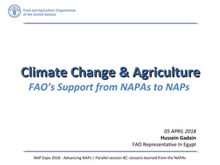 Climate Change & AgricultureClimate Change & Agriculture
FAO’s Support from NAPAs to NAPs
05 APRIL 2018
Hussein Gadain
FAO Representative In Egypt
NAP Expo 2018 - Advancing NAPs | Parallel session 8C: Lessons learned from the NAPAs
 