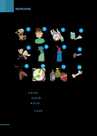 Manual
para
manipuladores
de
alimentos
100
Instructor
Respuestas para el entrenador:
Según el número de cada dibujo, indique a que grupo pertenecen:
Peligros físicos: 4, 8 y 12
Peligros biológicos: 2, 3 y 10
Peligros químicos: 6, 7 y 11
Principales vectores
de peligros biológicos: 1, 5 y 9
 